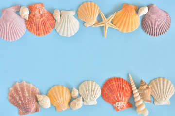 Starfish and Shell on a blue background