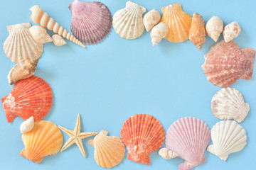 Starfish and Shell on a blue background