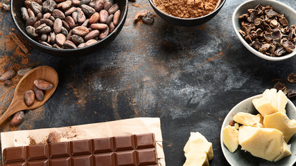 Cacao beans, powder, cacao butter  and chocolate bar. Top view with copy space