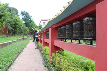 Beautiful Flowers roses 