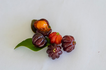 Suriname Cherry, Seed And Leaves