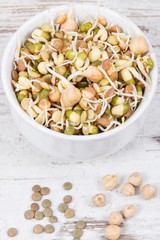 Nutritious different sprouts as source vitamins and minerals. Healthy nutrition