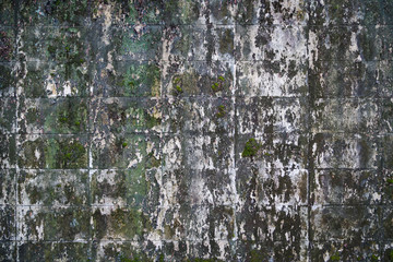 Obraz premium Old gray brick wall texture background