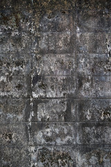 Fototapeta premium Old gray brick wall texture background