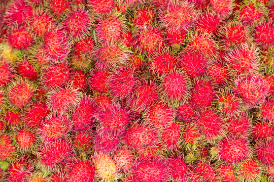 Rambutan Fruit