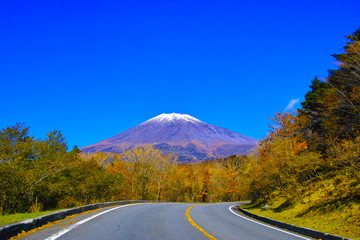 紅葉シーズンの富士山、富士市の富士スカイラインから見る風景