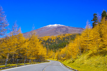 紅葉シーズンの富士山 富士宮市の富士スカイライン西臼塚駐車場から見る風景 Wall Mural 7maru