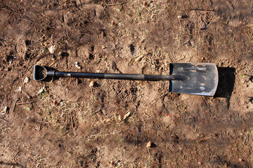 A shovel laying in the dirt