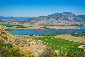 Naklejka na ściany i meble Okanagan valley panoramic view with orchard farm fields. Residential houses in Okanagan valley built on Osoyoos lake shore with mountains on the background