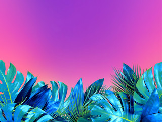 Trendy turquoise colored close up of various tropical leaves on bright pink and violet background