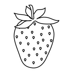 sweet and fresh strawberry fruit