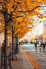 Street in Autumn