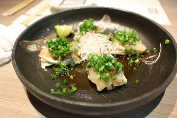 Puffer fish