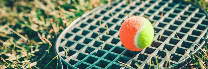 Tennis ball lying on a racket in the green grass. Summer background. Outdoor summer games concept