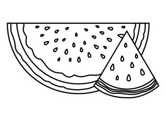 fresh watermelon tropical fruit portion