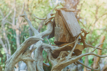 Hand made wooden bird house nest  in public Park , hand wood shelter for birds .