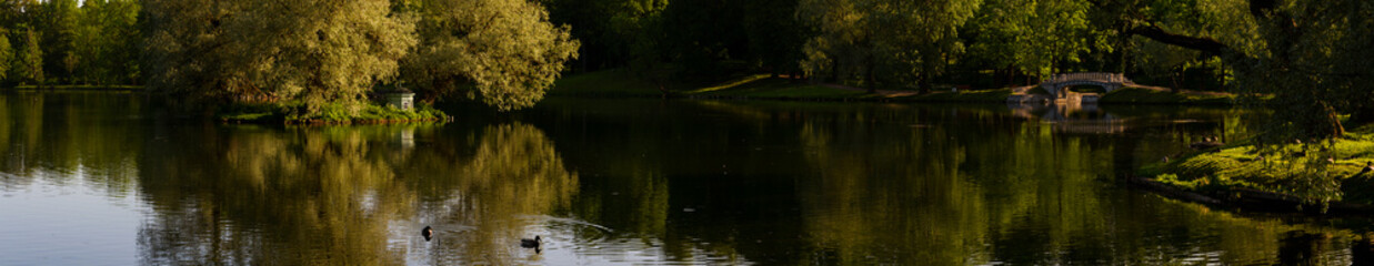 Fototapeta premium beautiful panorama of the nature of the Gatchina park