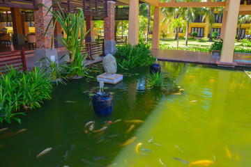 Naklejka premium Pond in a buddhist temple with fish