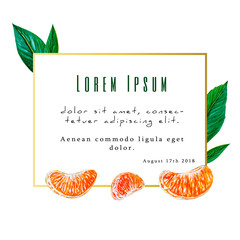 Citrus theme card template. card with citrus fruits and place for your text. illustration for your design.