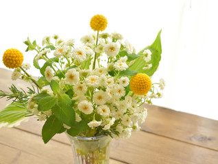 flower arrangement, of Gold stick,feverfew, by the window