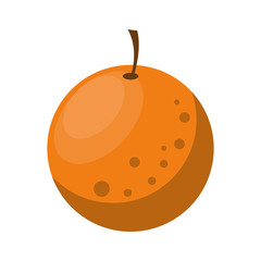 delicious orange icon cartoon isolated