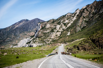 Beautiful spring landscape in Altai