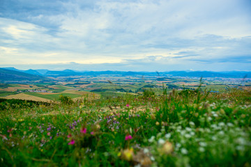 Spanish landscape with fields, sky and mountains, Navarra, Spain with flowers in the foreground....