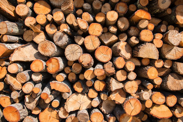 Lumber. Fire logs. Firewood natural background. Woodpile in sawmill.
