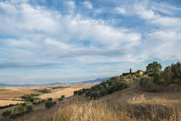 Picturesque view on hills with fields and olive trees, Tuscany, Italy. Scenic italian landscape.