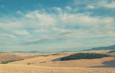 Picturesque view on hills with fields and olive trees, Tuscany, Italy. Scenic italian landscape.