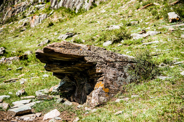 Beautiful spring landscape in Altai