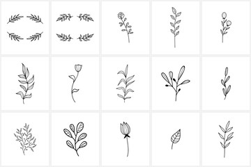 Hand drawn flowers logo elements and icons