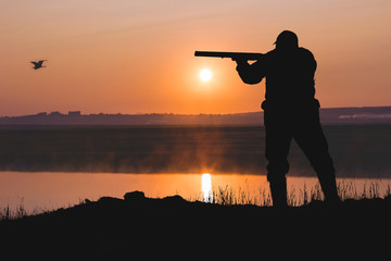 Silhouette of a hunter with a gun in the reeds against the sun, an ambush for ducks with dogs	