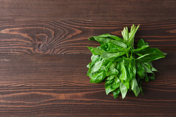 Basil on dark wooden background