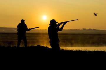 Fototapeta na wymiar Silhouette of a hunter with a gun in the reeds against the sun, an ambush for ducks with dogs 