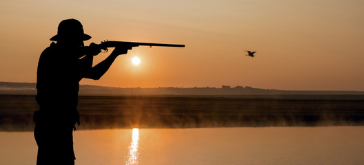 Silhouette of a hunter with a gun in the reeds against the sun, an ambush for ducks with dogs	