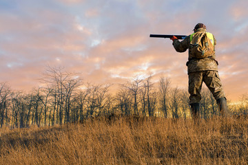 Silhouette of a hunter with a gun in the reeds against the sun, an ambush for ducks with dogs	