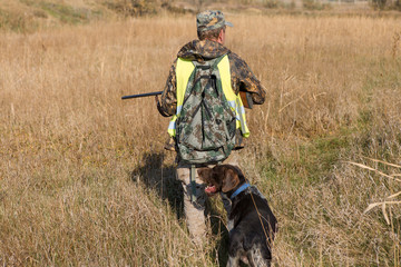Hunter with a german drathaar and spaniel, pigeon hunting with dogs in reflective vests	