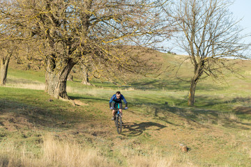 Cyclist in shorts and jersey on a modern carbon hardtail bike with an air suspension fork rides off-road on green hills near the forest	