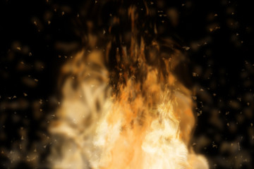 Abstract fire isolated in black.