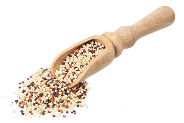 quinoa in a wooden spoon isolated on white background. quinoa seed
