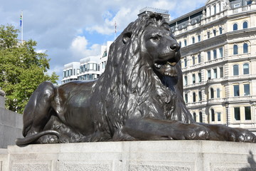 One of the four lion sculptures designed by the artist Sir Edwin Landseer emplaced at the foot of Nelson's Column in 1867 in Trafalgar Square, London, UK