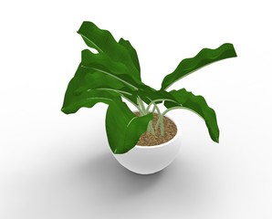Plants in Pot 3D Rendering