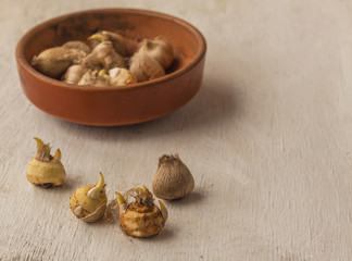 Sparaxis bulbs in a ceramic bowl.