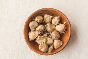 Sparaxis bulbs in a ceramic bowl. Flat lay