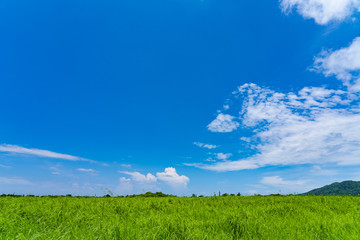 Fototapeta na wymiar landscape of Ishigaki Island