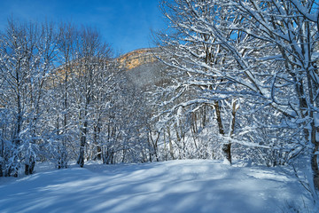 Image of a winter footpath.