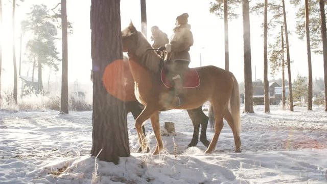 Tracking shot of man and woman riding horses in countryside on sunny winter day