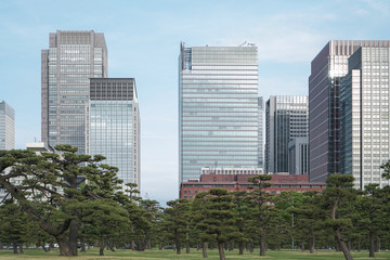 Obraz premium A group building with tree and road in a modern city in Tokyo. - Image