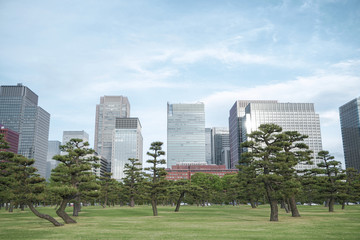 A group building with tree and road in a modern city in Tokyo. - Image
